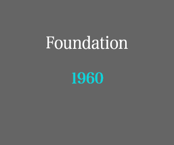 Foundation 1960